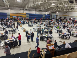 PXL_20220402_201535113